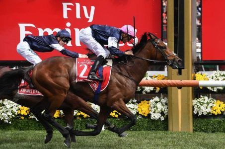 Rekindling, Melbourne Cup