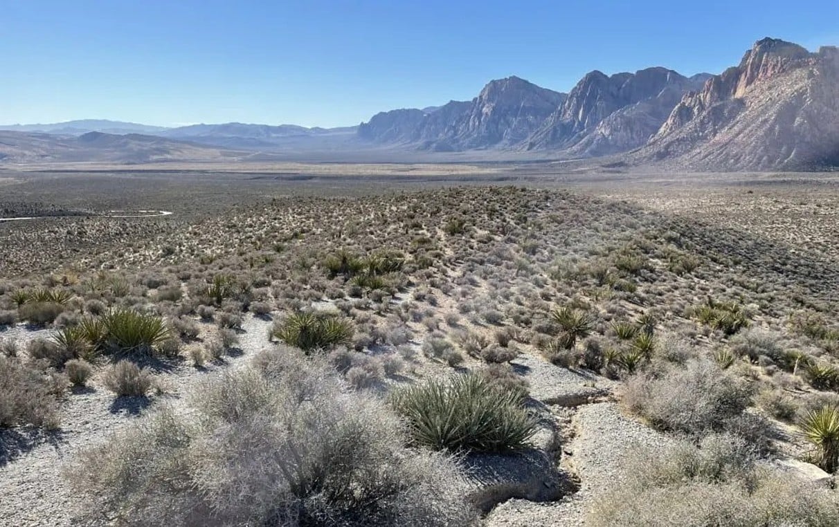 Red Rock Canyon Las Vegas