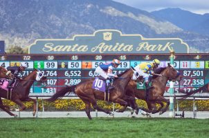 Santa Anita Park