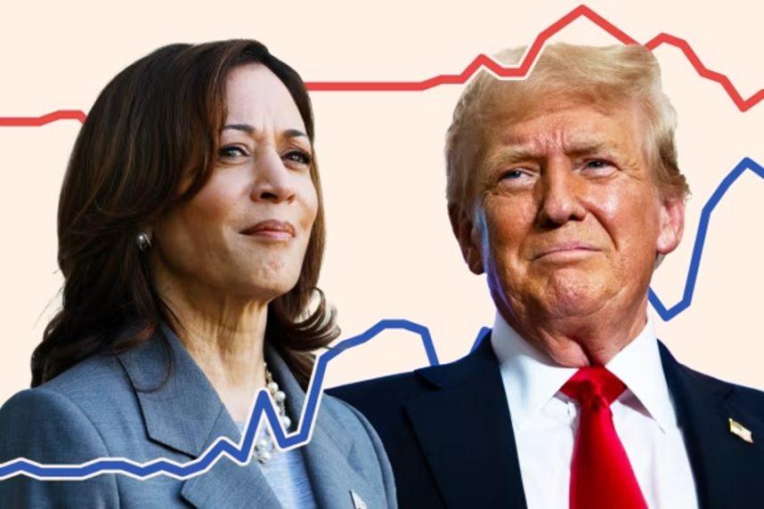 election odds Harris Trump 2024